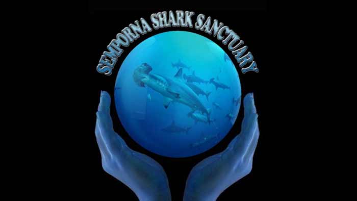 semporna shark sanctuary
