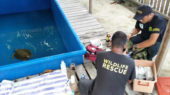 wildlife rescue unit