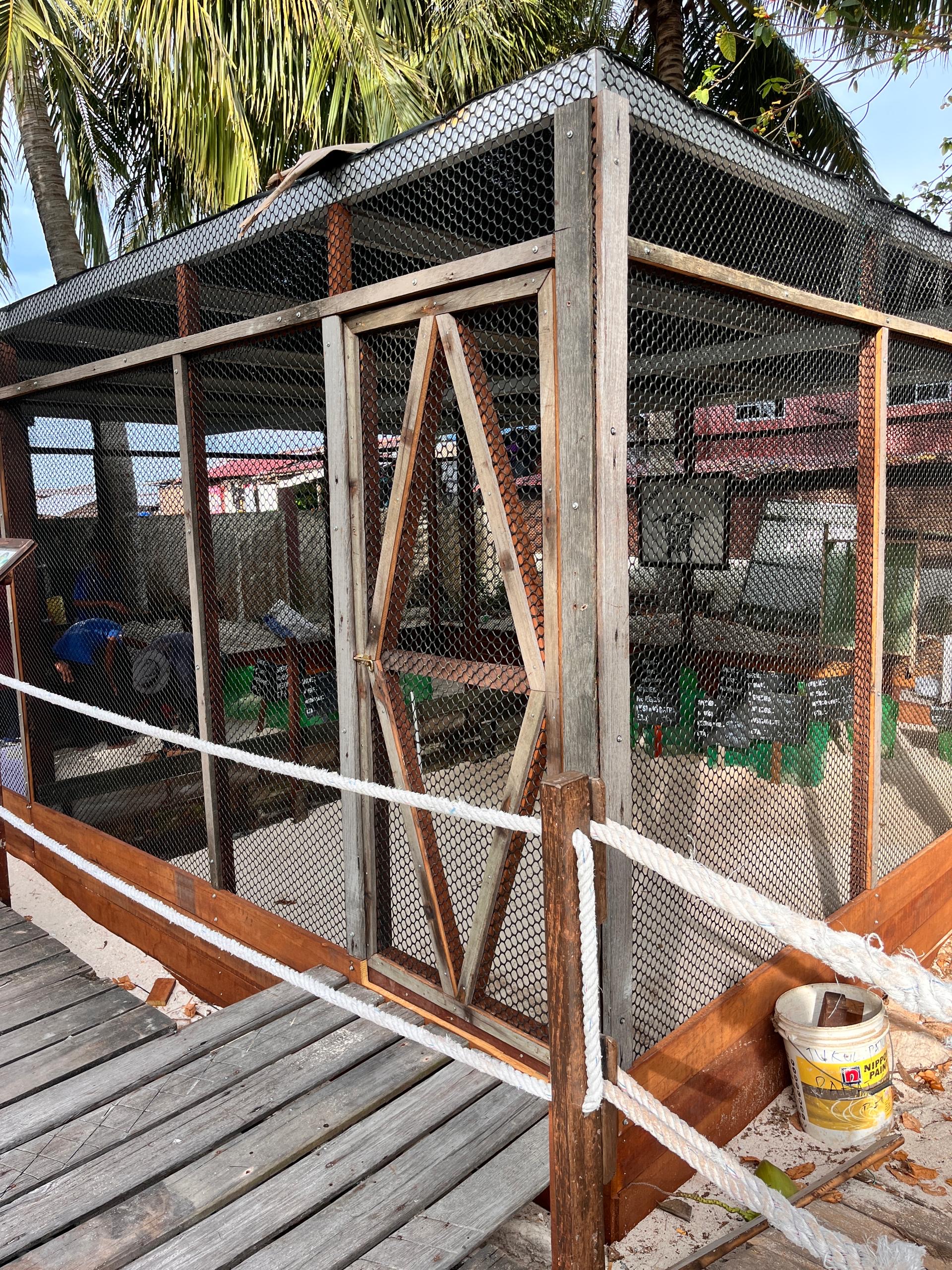 Turtle-Hatchery