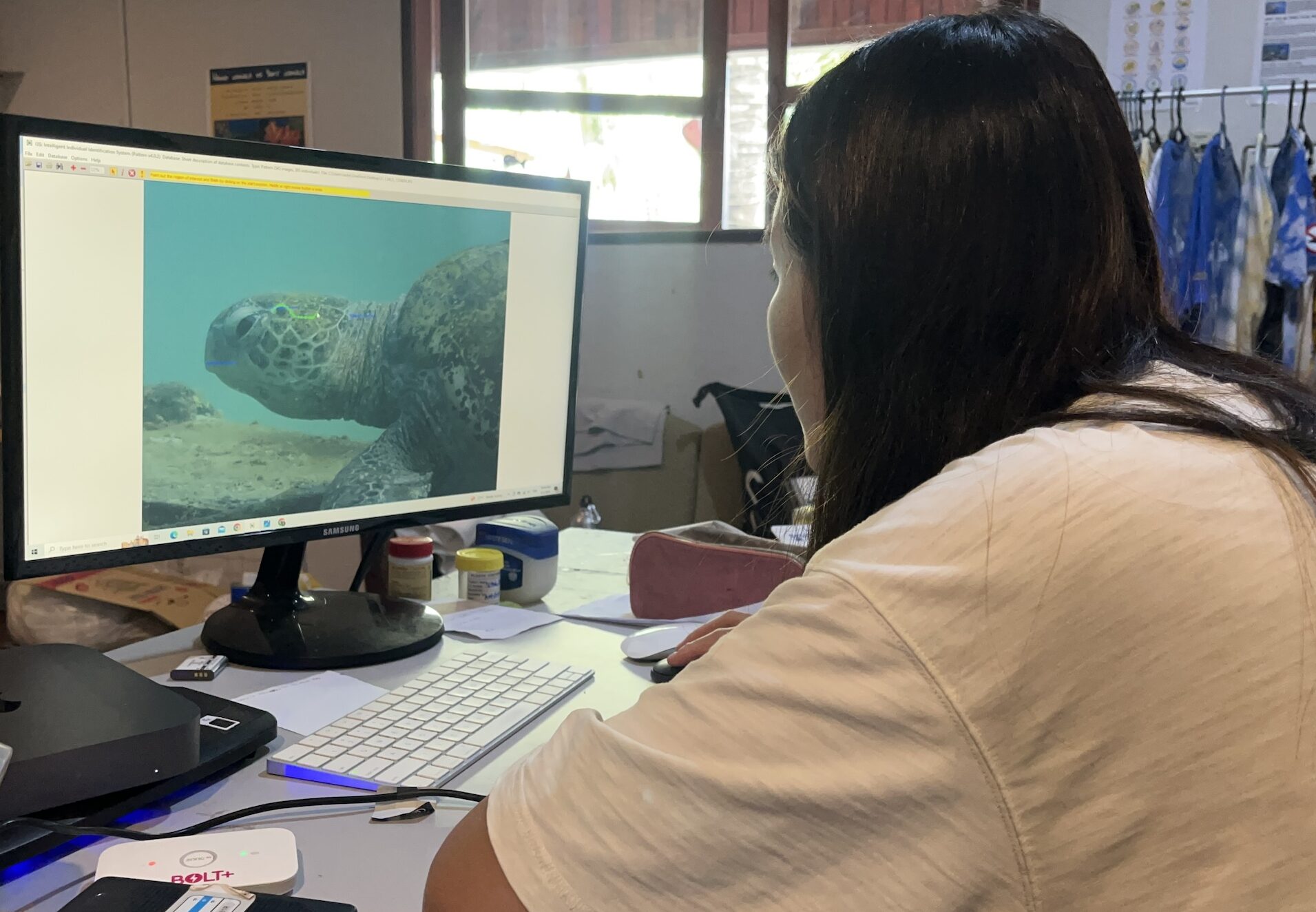 Turtle-ID-database-e1715233211904